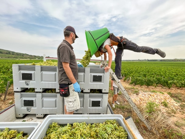 ドメーヌ・ デュジャック | Lettres du Brassus